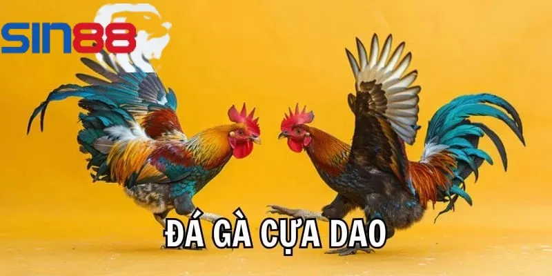 Bạn nên điền đầy đủ thông tin đăng ký đá gà cựa dao