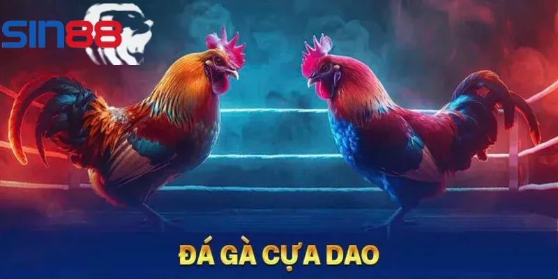 Đa dạng loại hình thi đấu đá gà cựa dao